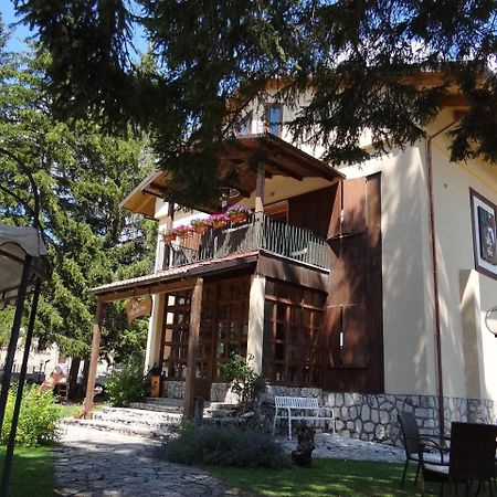 Villa Dei Pini 佩斯卡塞罗利 外观 照片