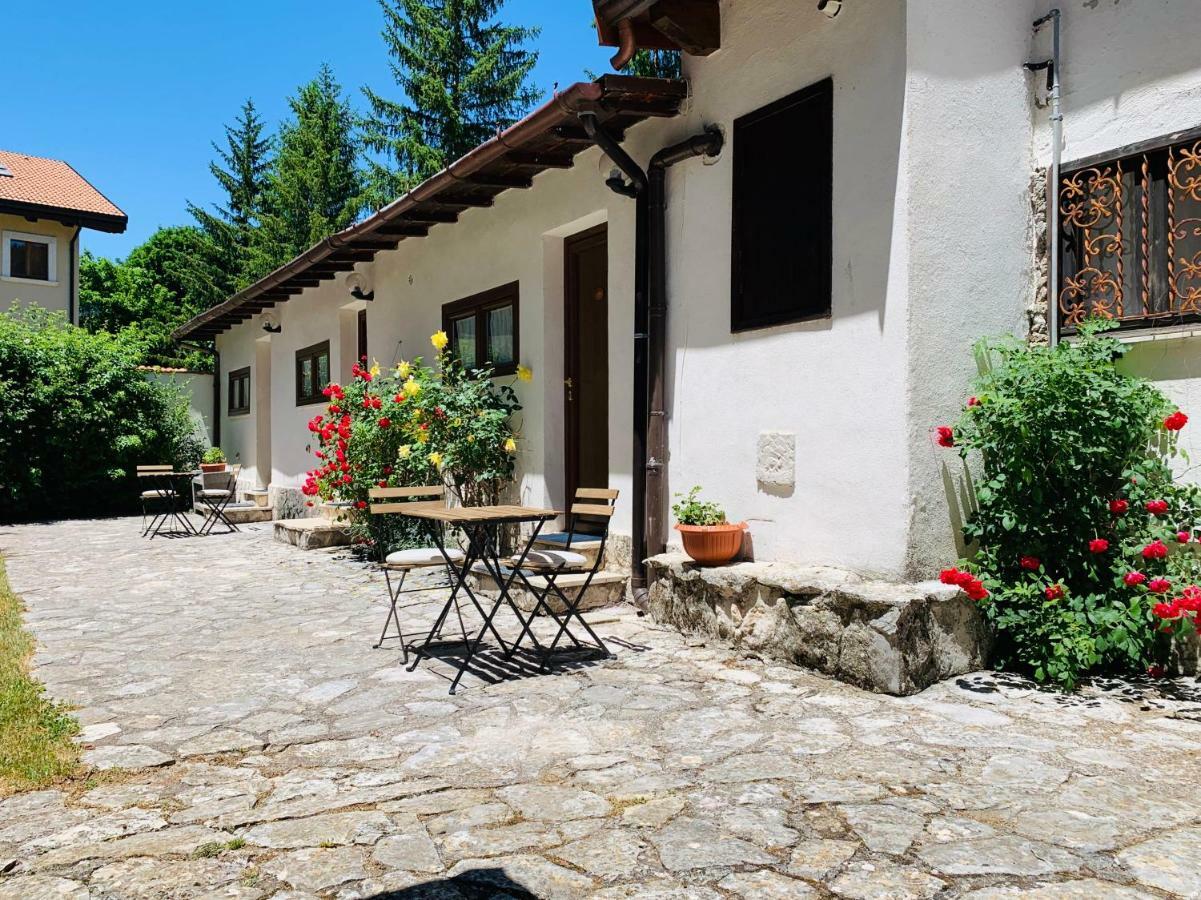 Villa Dei Pini 佩斯卡塞罗利 外观 照片